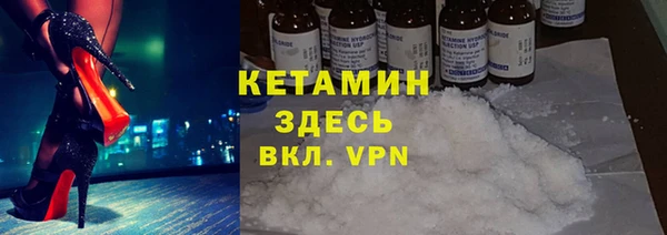 гашик Алексин