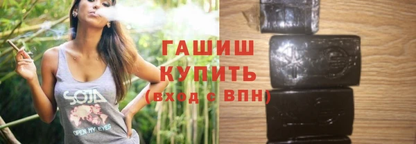 гашик Алексин