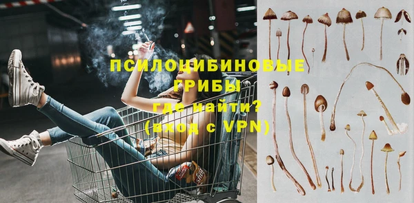бошки Абдулино