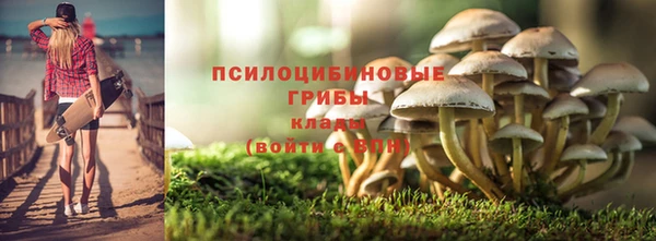прущий лед Алексеевка