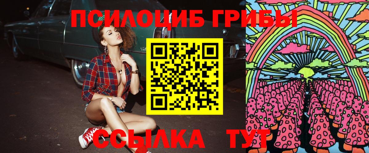 Златоуст  Галлюциногенные грибы GOLDEN TEACHER  Вход с VPN 