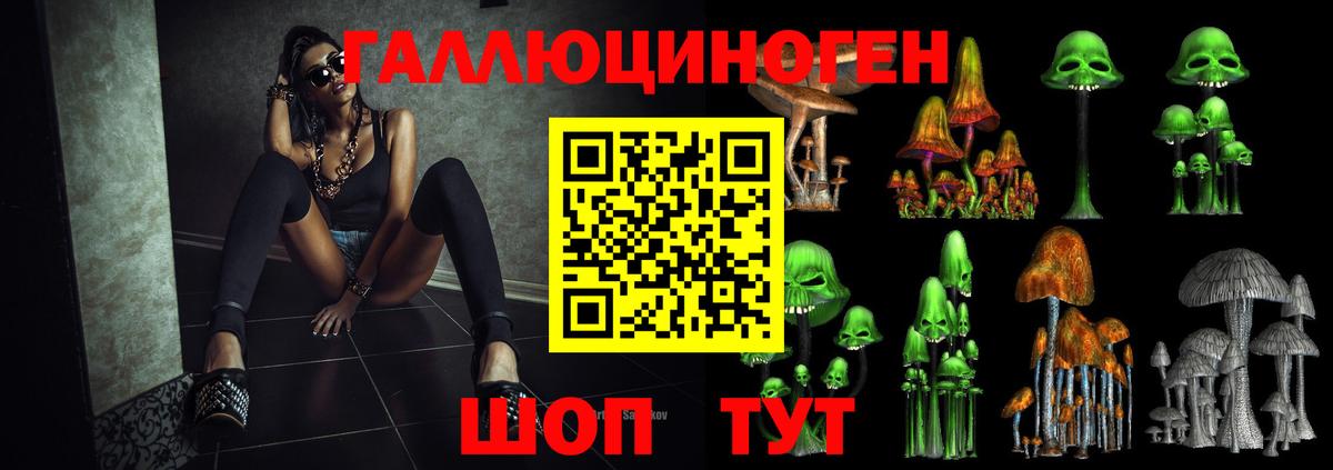 Псилоцибиновые грибы Psilocybe Златоуст